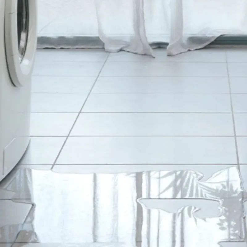 Appliance Leak Cleanup in Burke, SD