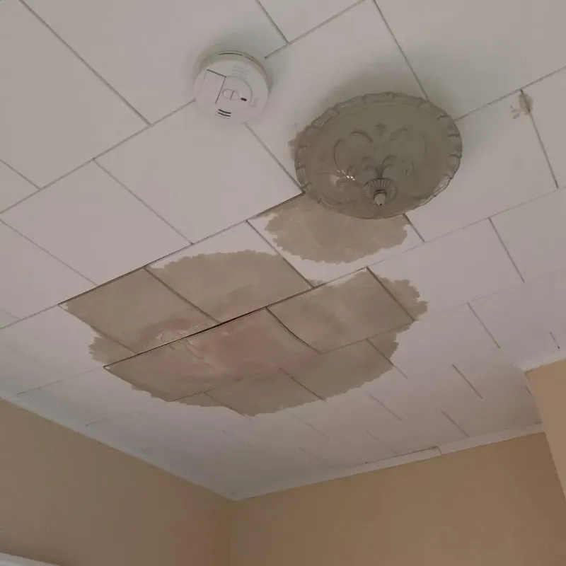 Ceiling Water Damage Repair in Burke, SD