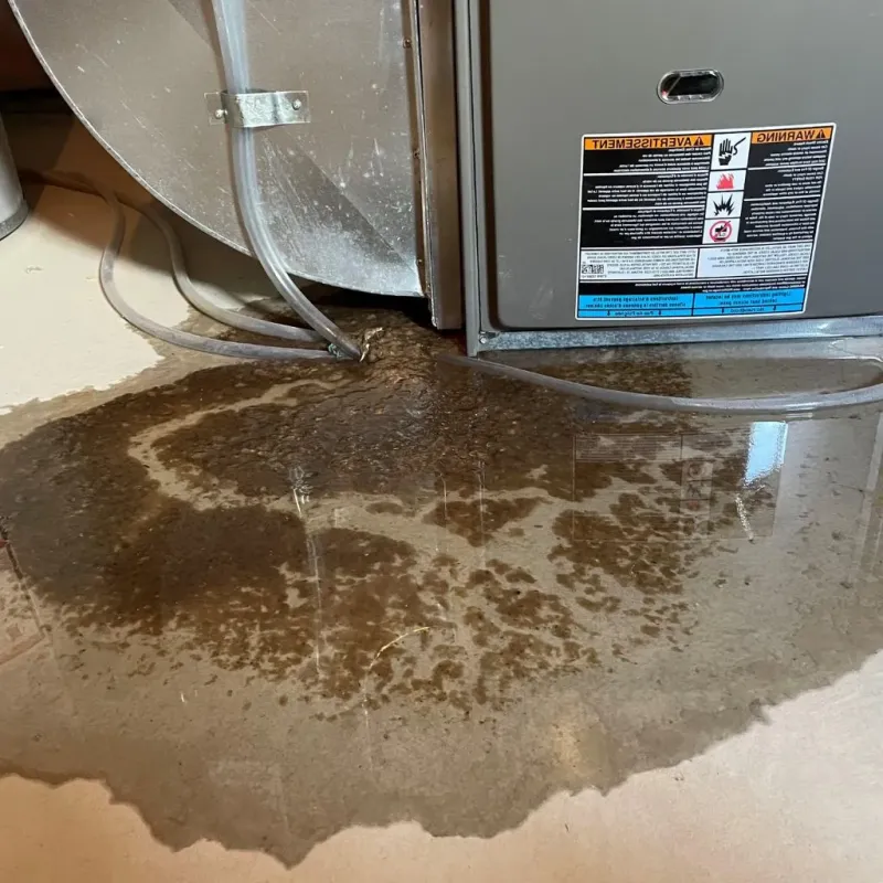 Pipe Burst and Leak Restoration in Burke, SD