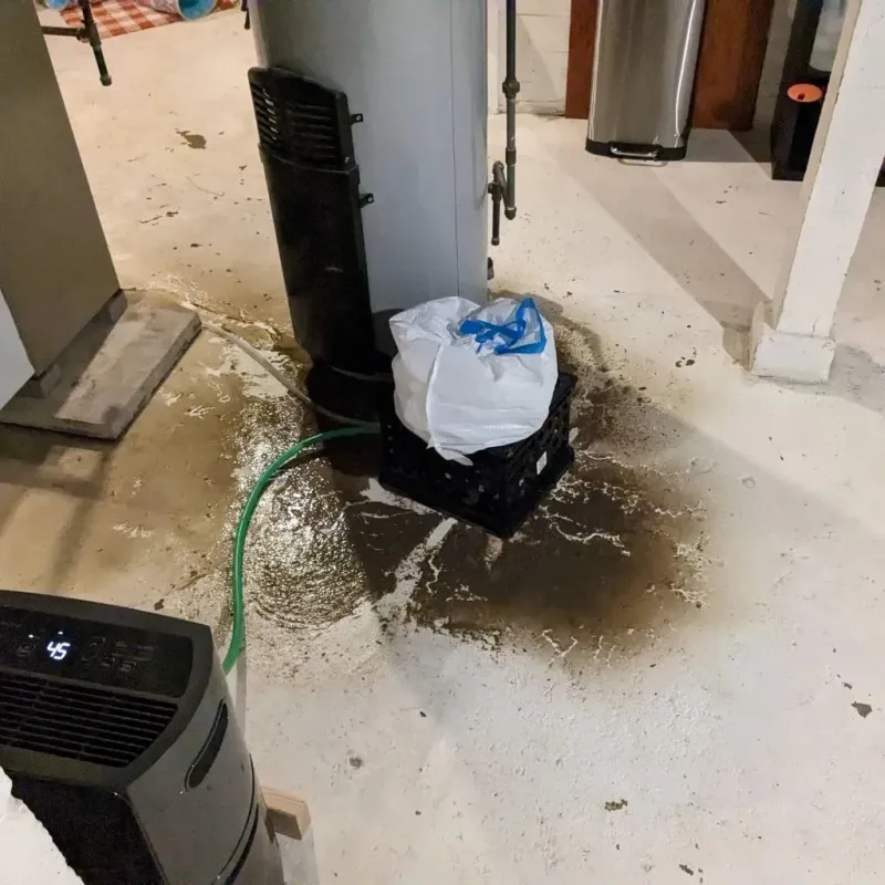 Sewage Backup Cleanup Service in Burke, SD